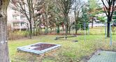 008 Garten.jpg