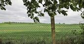 makellos DHH Klein Rünz Weitblick.JPG