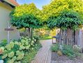 makellos 23 EFH Bentwisch - Eingang zum Garten.jpg